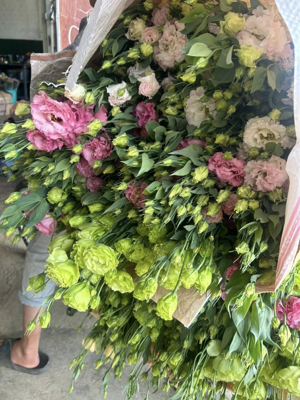 Cách Bảo Quản Hoa Cát Tường Và Cẩm Chướng Tươi Tắn Cả Tuần