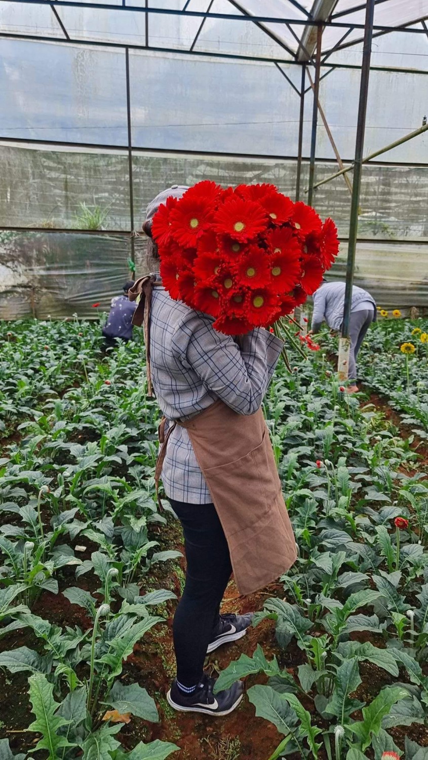 Đồng tiền lớn