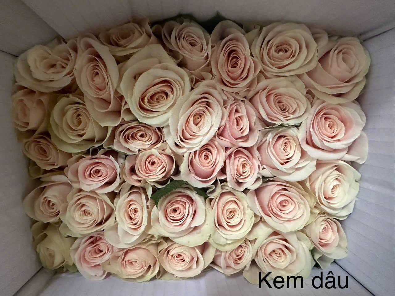 Kem dâu